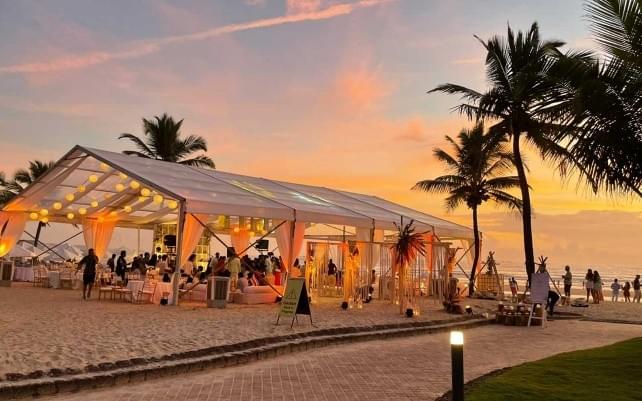 German Hangers - Image 4